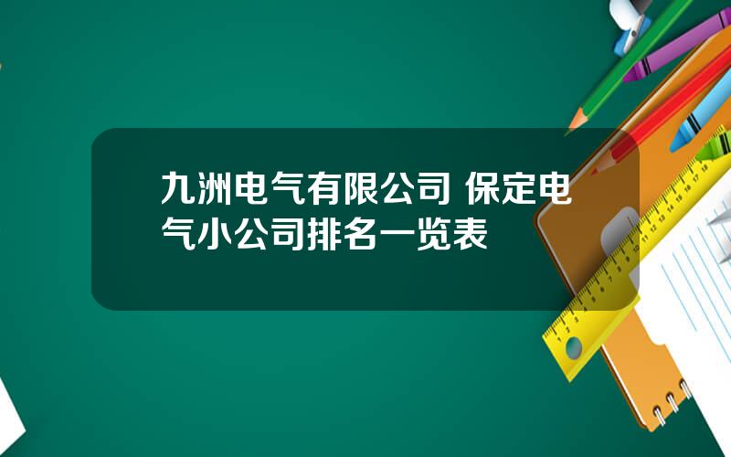 九洲电气有限公司 保定电气小公司排名一览表